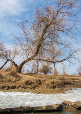 nehir son buz. Son buz parçası. son buz Ili Nehri üzerinde iğne. Orta Asya, Kazakistan bozkırlarında