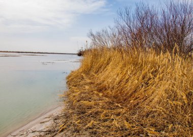 nehir son buz. Son buz parçası. son buz Ili Nehri üzerinde iğne. Orta Asya, Kazakistan bozkırlarında