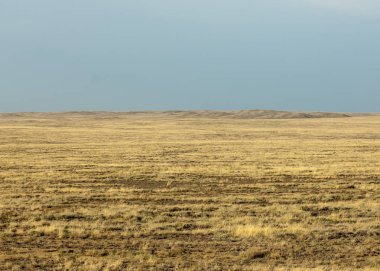 Bozkır. Ağaçsız, zavallı nem ve genellikle düz alan kuru bölgedeki otsu bitki örtüsü ile.