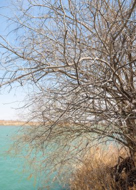 nehir bahar. bahar Nehri Orta Asya'da. Kazakistan bozkır nehir Semirechye. 