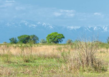 erken yaz aylarında bozkır