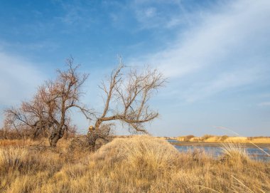 nehir bahar. bahar Nehri Orta Asya'da. Kazakistan bozkır nehir Semirechye. 