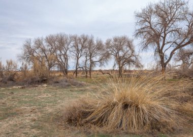 Son bahar kar dokusuna güneşli bir bahar brooks suda eritin. nehir dere dere. Bahar Nehri üzerinde buz erime. 