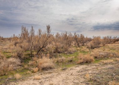 Son bahar kar dokusuna güneşli bir bahar brooks suda eritin. nehir dere dere. Bahar Nehri üzerinde buz erime. 
