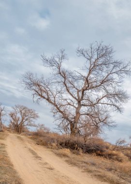 Son bahar kar dokusuna güneşli bir bahar brooks suda eritin. nehir dere dere. Bahar Nehri üzerinde buz erime. 