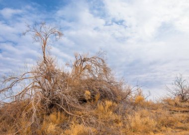 Son bahar kar dokusuna güneşli bir bahar brooks suda eritin. nehir dere dere. Bahar Nehri üzerinde buz erime. 