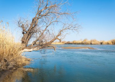 bahar bozkır nehirde. nehir sazlık ile büyümüş. saf zümrüt sudur