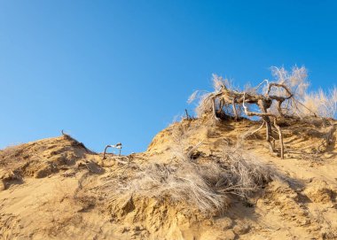 bahar bozkır nehirde. nehir sazlık ile büyümüş. saf zümrüt sudur