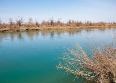 bahar bozkır nehirde. nehir sazlık ile büyümüş. saf zümrüt sudur