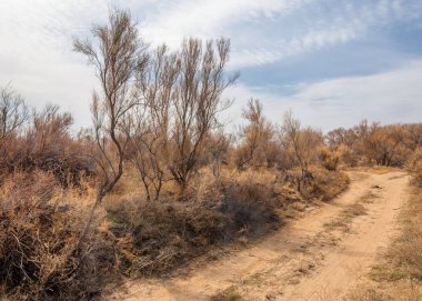 Son bahar kar dokusuna güneşli bir bahar brooks suda eritin. nehir dere dere. Bahar Nehri üzerinde buz erime. 