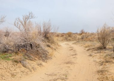 Son bahar kar dokusuna güneşli bir bahar brooks suda eritin. nehir dere dere. Bahar Nehri üzerinde buz erime. 