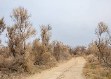 Son bahar kar dokusuna güneşli bir bahar brooks suda eritin. nehir dere dere. Bahar Nehri üzerinde buz erime. 