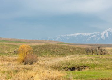 Son bahar kar dokusuna güneşli bir bahar brooks suda eritin. nehir dere dere. Bahar Nehri üzerinde buz erime. 