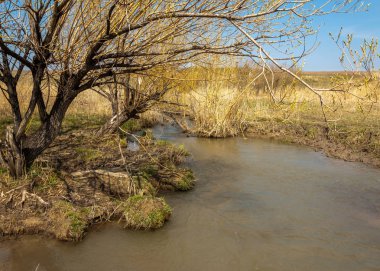 Son bahar kar dokusuna güneşli bir bahar brooks suda eritin. nehir dere dere. Bahar Nehri üzerinde buz erime. 
