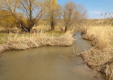 Son bahar kar dokusuna güneşli bir bahar brooks suda eritin. nehir dere dere. Bahar Nehri üzerinde buz erime. 