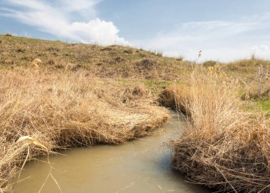 Son bahar kar dokusuna güneşli bir bahar brooks suda eritin. nehir dere dere. Bahar Nehri üzerinde buz erime. 