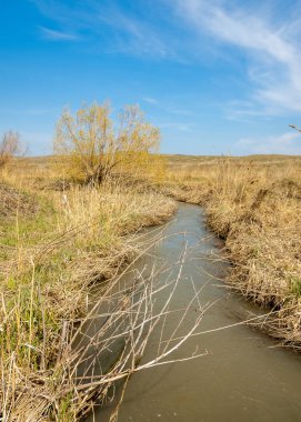 Son bahar kar dokusuna güneşli bir bahar brooks suda eritin. nehir dere dere. Bahar Nehri üzerinde buz erime. 