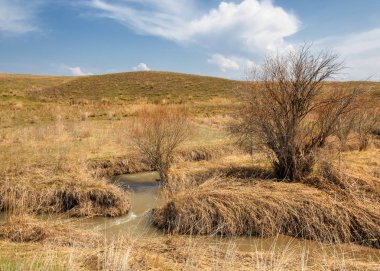 Son bahar kar dokusuna güneşli bir bahar brooks suda eritin. nehir dere dere. Bahar Nehri üzerinde buz erime. 