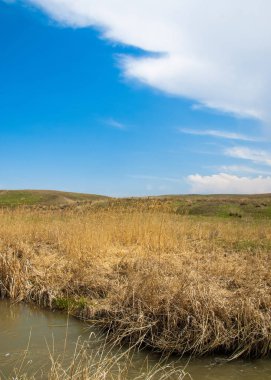 Son bahar kar dokusuna güneşli bir bahar brooks suda eritin. nehir dere dere. Bahar Nehri üzerinde buz erime. 