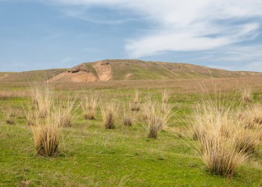 Son bahar kar dokusuna güneşli bir bahar brooks suda eritin. nehir dere dere. Bahar Nehri üzerinde buz erime. 