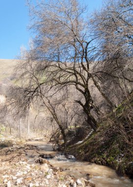 Son bahar kar dokusuna güneşli bir bahar brooks suda eritin. nehir dere dere. Bahar Nehri üzerinde buz erime. 