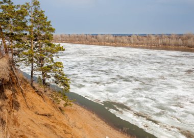 Bahar River, buz Nehri üzerinde. çıplak ağaçlar ve mavi gökyüzünde güzel bulutlar güzel bahar manzara nehir buz ile erimiş