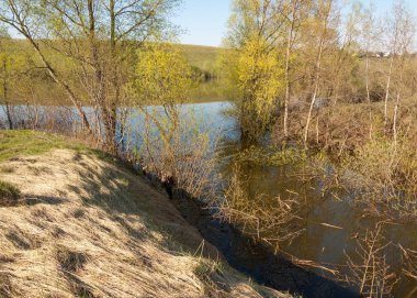 bahar Gölü. Su birikintisi bahar. Bahar park göl. bahar Gölü sahne. Bahar gölün kıyısında.