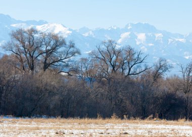  kayalar ve woods, erken Bahar yatay