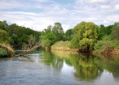 Bahar Nehri,, ağaç bahar güneş büyür..