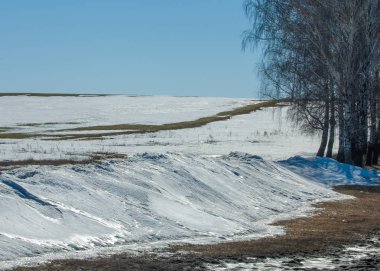 Geçen kış bahar kar. Ağaçlar
