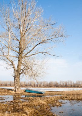 Bahar River, buz Nehri üzerinde. çıplak ağaçlar ve mavi gökyüzünde güzel bulutlar güzel bahar manzara nehir buz ile erimiş