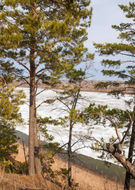 Bahar River, buz Nehri üzerinde. çıplak ağaçlar ve mavi gökyüzünde güzel bulutlar güzel bahar manzara nehir buz ile erimiş