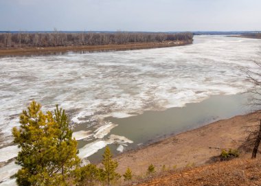 Bahar River, buz Nehri üzerinde. çıplak ağaçlar ve mavi gökyüzünde güzel bulutlar güzel bahar manzara nehir buz ile erimiş