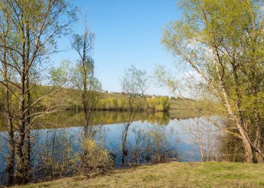bahar Gölü. Su birikintisi bahar. Bahar park göl. bahar Gölü sahne. Bahar gölün kıyısında.