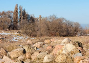  kayalar ve woods, erken Bahar yatay