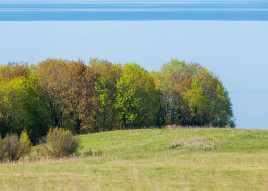 Bahar, büyük bir nehir, renkli ağaçlar. Nehir kenarında yumuşak sabah şafak ışığı içinde filizlenen büyük ağaç. Sakin nehir düşük dağlara akan