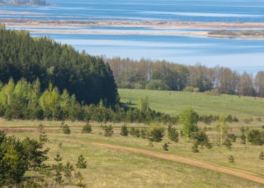Bahar, büyük bir nehir, renkli ağaçlar. Nehir kenarında yumuşak sabah şafak ışığı içinde filizlenen büyük ağaç. Sakin nehir düşük dağlara akan