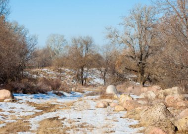  kayalar ve woods, erken Bahar yatay