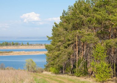 Bahar, büyük bir nehir, renkli ağaçlar. Nehir kenarında yumuşak sabah şafak ışığı içinde filizlenen büyük ağaç. Sakin nehir düşük dağlara akan