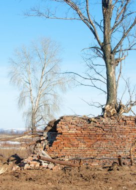 Bahar. Son kar. Yalnız ağaç. Kırık tuğla duvar
