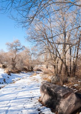 Son bahar kar dokusuna güneşli bir bahar brooks suda eritin. nehir dere dere. Bahar Nehri üzerinde buz erime. 