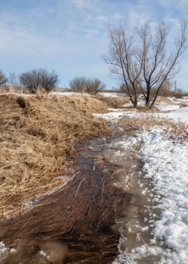 Brook bahar. güneşli bir bahar brooks suda eriyen doku. nehir dere dere. Bahar Nehri üzerinde buz erime. 