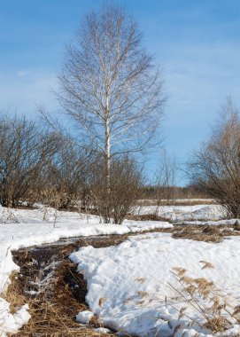 Brook bahar. güneşli bir bahar brooks suda eriyen doku. nehir dere dere. Bahar Nehri üzerinde buz erime. 