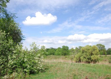 bahar Nehri. Nehir ve bahar orman. Doğa kompozisyon. Bahar Nehri bulutlarda yansımanın. Ağaçlar ilkbaharda bir nehir kıyısında