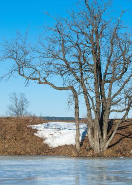 Donmuş gölün bahar. Bahar buz