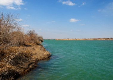 nehir bahar. bahar Nehri Orta Asya'da. Kazakistan bozkır nehir Semirechye. 