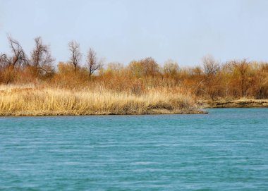 nehir bahar. bahar Nehri Orta Asya'da. Kazakistan bozkır nehir Semirechye. 
