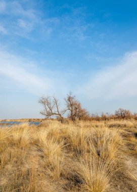 nehir bahar. bahar Nehri Orta Asya'da. Kazakistan bozkır nehir Semirechye. 
