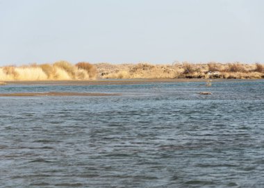 nehir bahar. bahar Nehri Orta Asya'da. Kazakistan bozkır nehir Semirechye. 