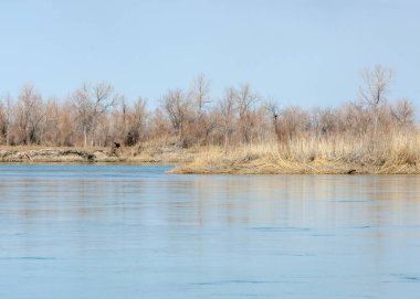 nehir bahar. bahar Nehri Orta Asya'da. Kazakistan bozkır nehir Semirechye. 